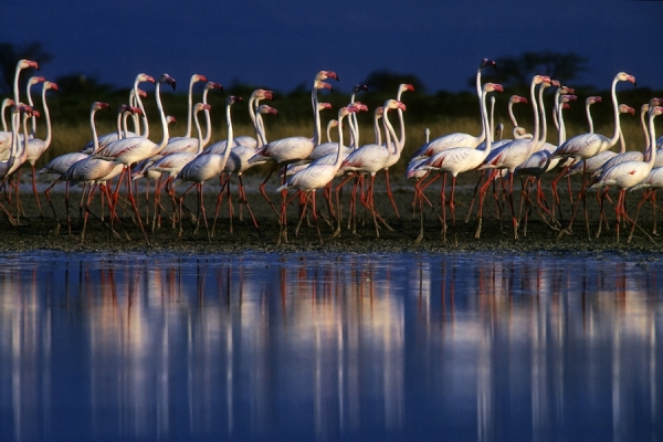 Photograph Mark Vincent Mueller The March on One Eyeland